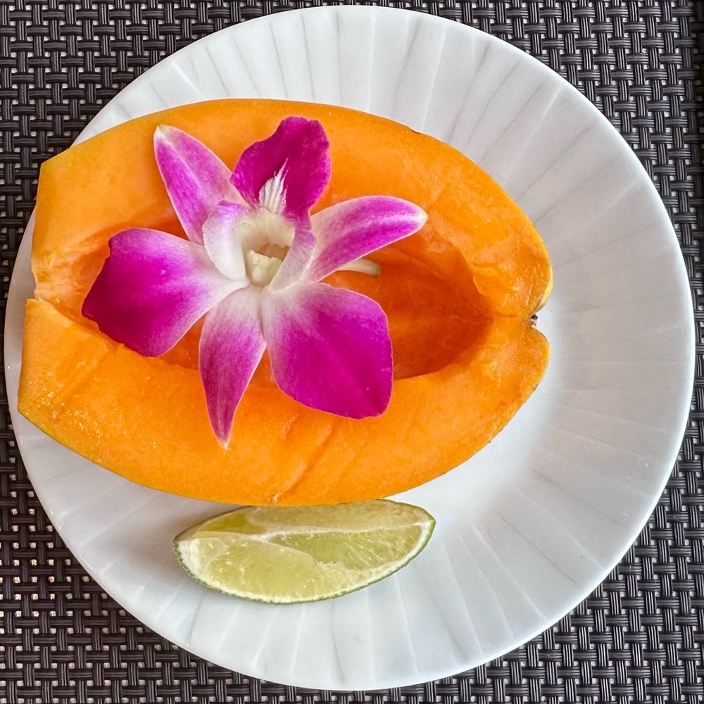 Meet your Posher, Misty.